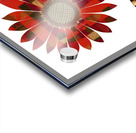 Plaid Botanica 22 - Contemporary Floral Art Prints Acrylic print