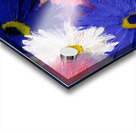 Palette En Fleurs - Palette In Bloom - Abstract Floral Art Prints Acrylic print