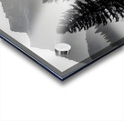 Morning Fog In The Valley - Monochrome Landscape Art Prints Acrylic print