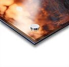 The Gaze – Wildlife Portrait Art Print Acrylic print