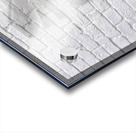 Stellar Ribbons – Cosmic Flow Abstract Print Acrylic print