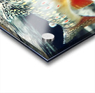 Into the Current – Trout Print Acrylic print