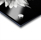 Stillness in Bloom – Monochrome Flower Reflection Print Acrylic print