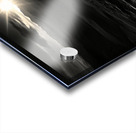 Twilight Bloom – Sunflowers at Dusk Print Acrylic print