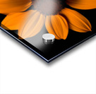 Field of Fire – Vibrant Sunflower Panorama Print Acrylic print