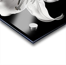 Golden Meadow by the Lake – Wildflower Panorama Print Acrylic print