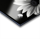 Garden Row – Sunflower Lineup Botanical Art Print Acrylic print