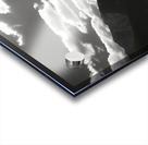 Bloomscape – Wide Field Floral Monochrome Art Print Acrylic print