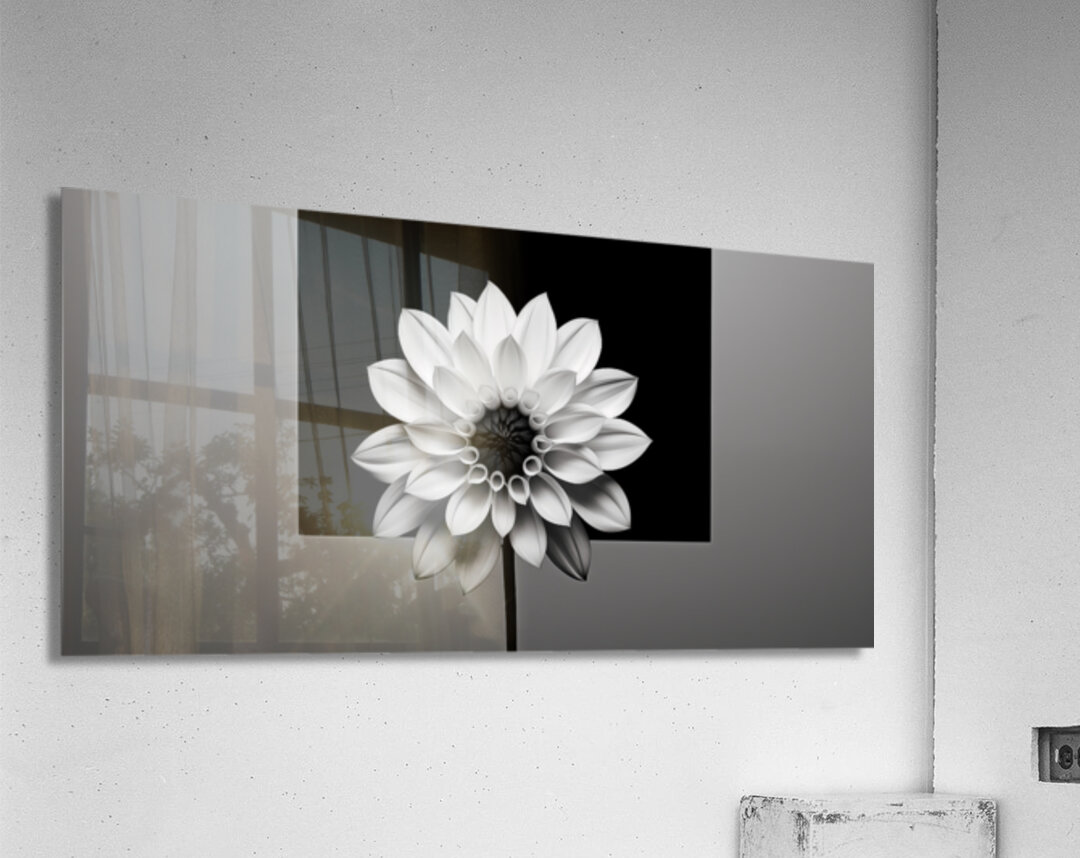 Solo - Minimal Floral Art Prints Acrylic Print