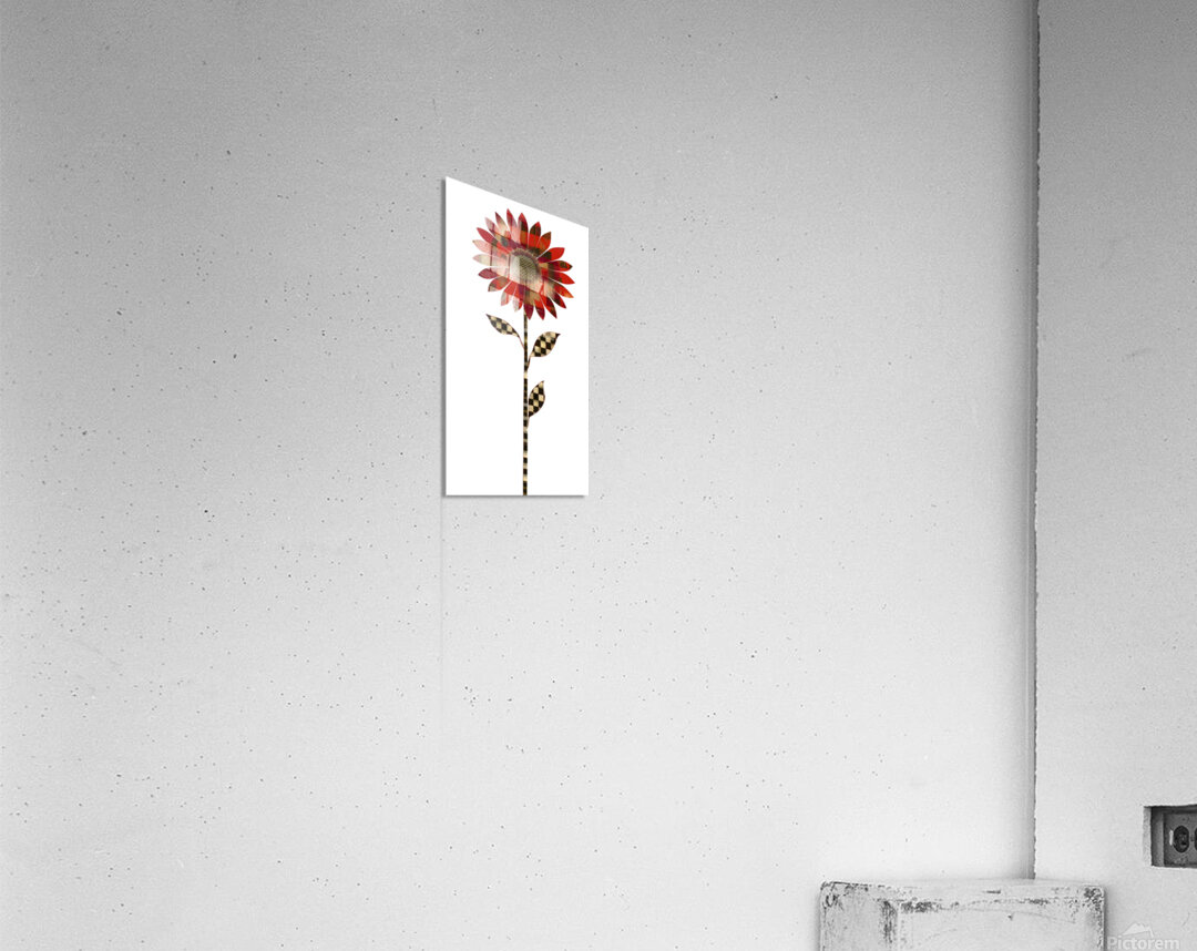 Plaid Botanica 22 - Contemporary Floral Art Prints Acrylic Print