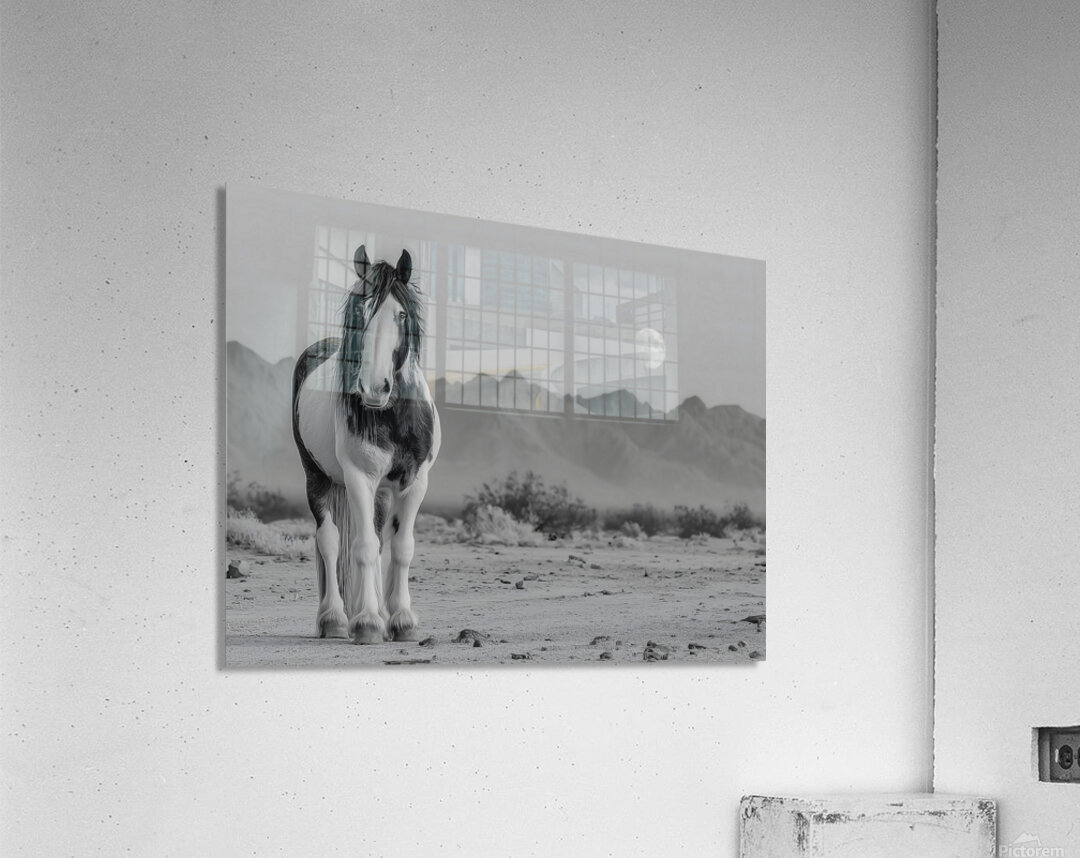 Born Of Dust And Light - Modern Abstract Art Prints Acrylic Print