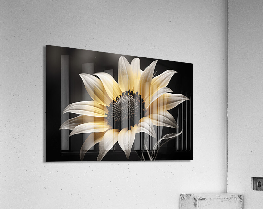 Silver Petals – Monochrome Sunflower Portrait Print Acrylic Print