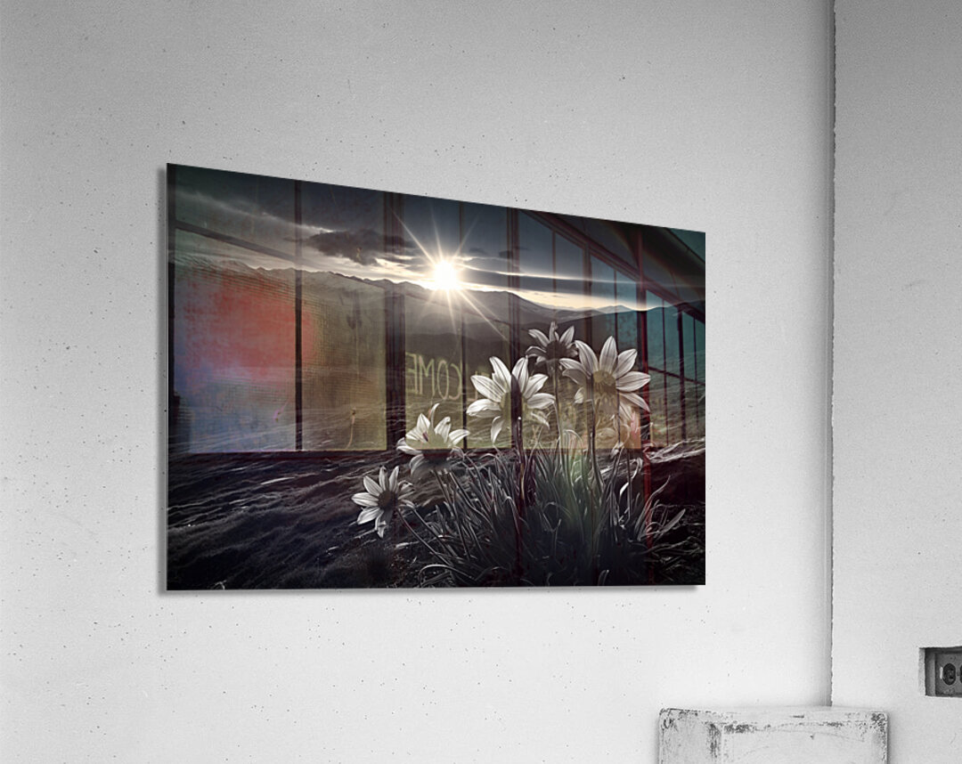 Twilight Bloom – Sunflowers at Dusk Print Acrylic Print