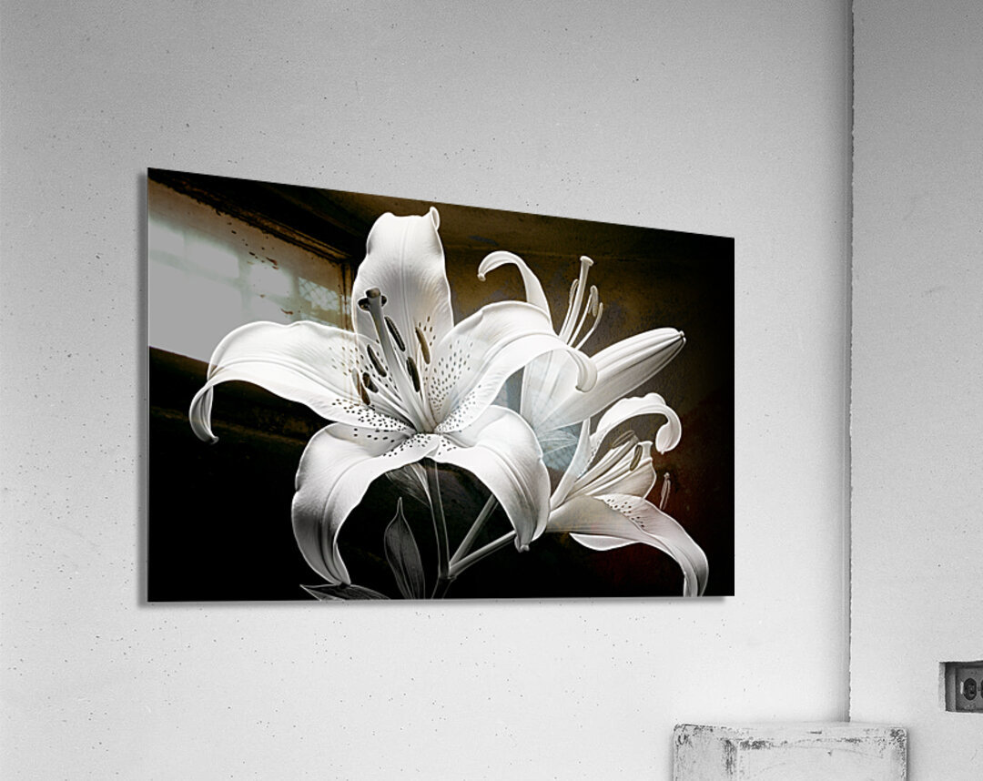 Golden Meadow by the Lake – Wildflower Panorama Print Acrylic Print