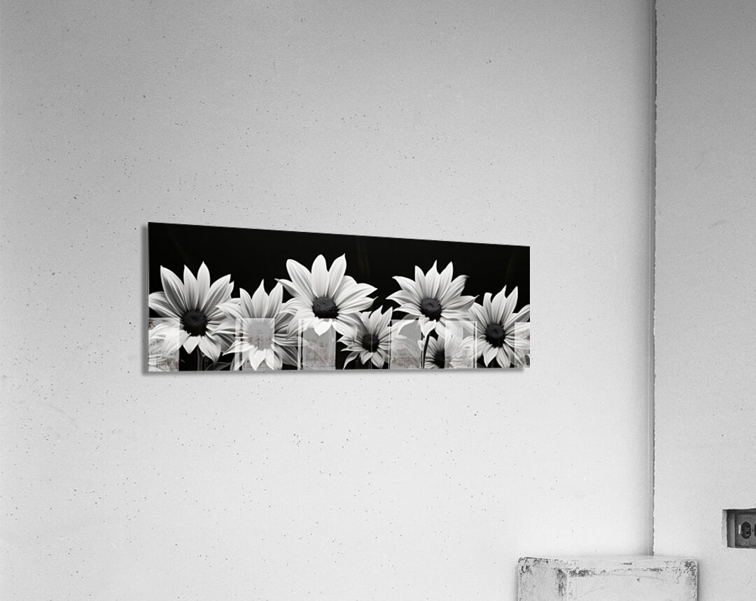 Garden Row – Sunflower Lineup Botanical Art Print Acrylic Print