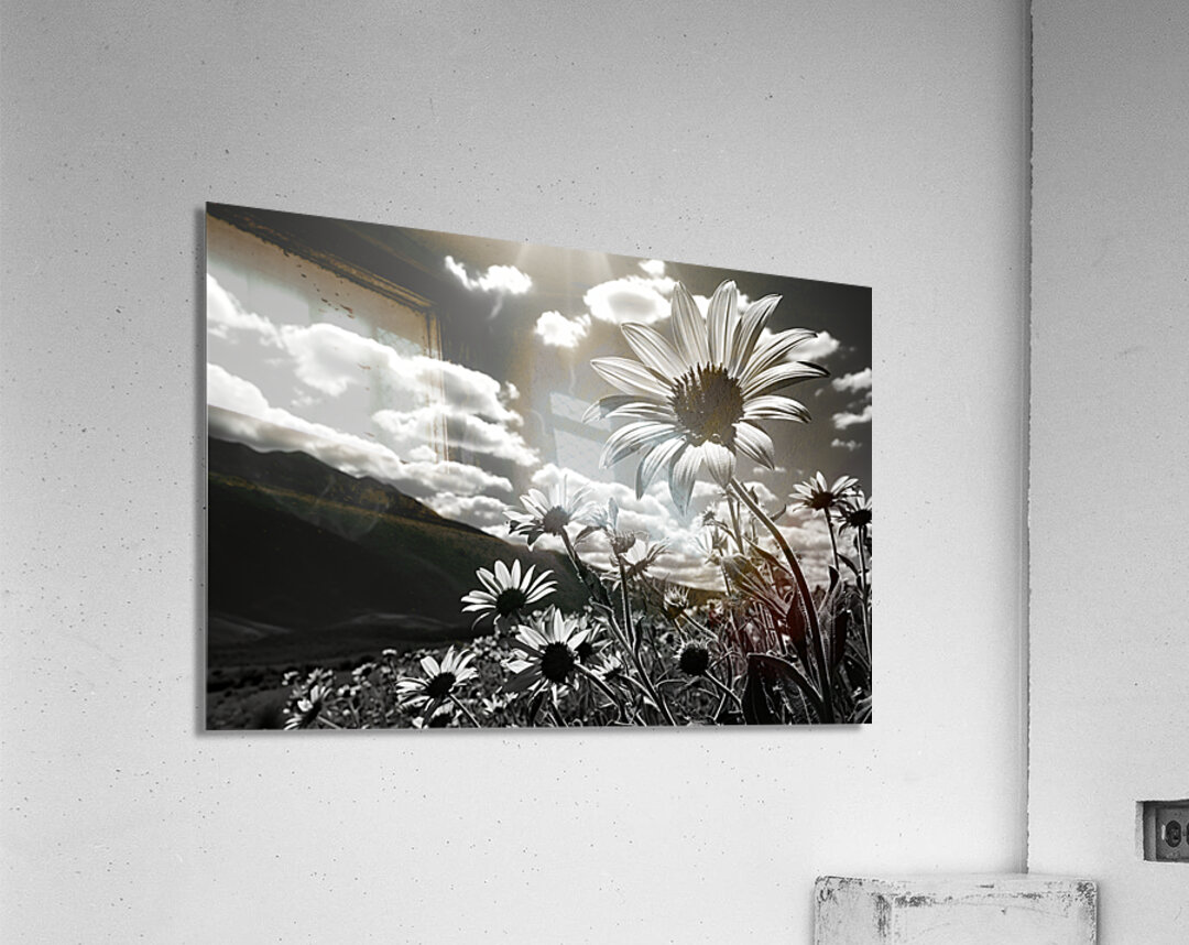 Bloomscape – Wide Field Floral Monochrome Art Print Acrylic Print
