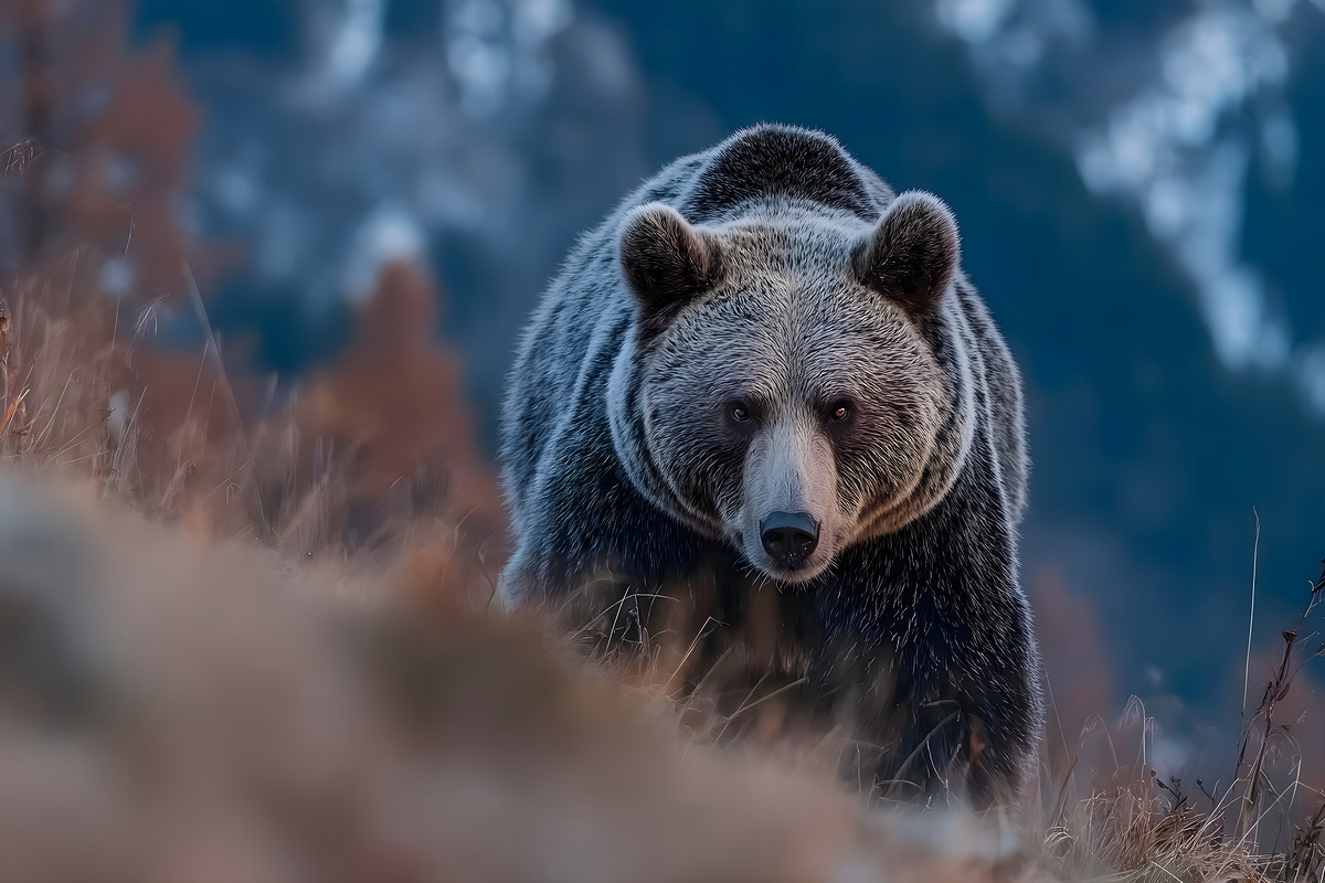 Impression de cadre personnalisé