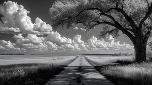 Prairie Road - Monochrome Landscape Art Prints