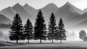 Morning Fog In The Valley - Monochrome Landscape Art Prints