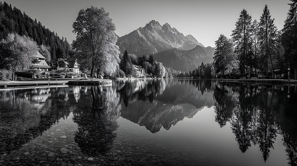 Reflected Dreams - Monochrome Landscape Art Prints Print