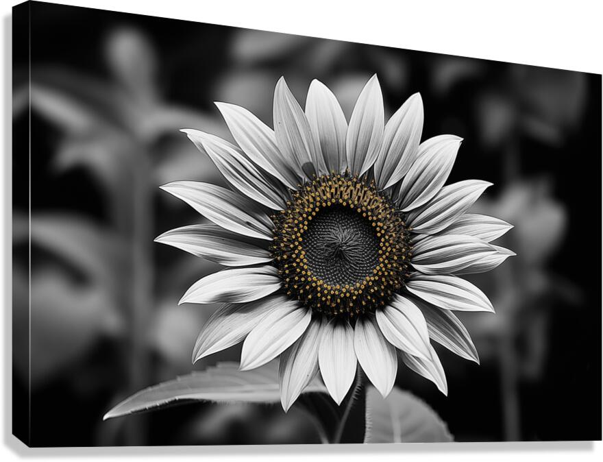 Petal Perspective 5 - Macro Floral Art Prints Canvas Print