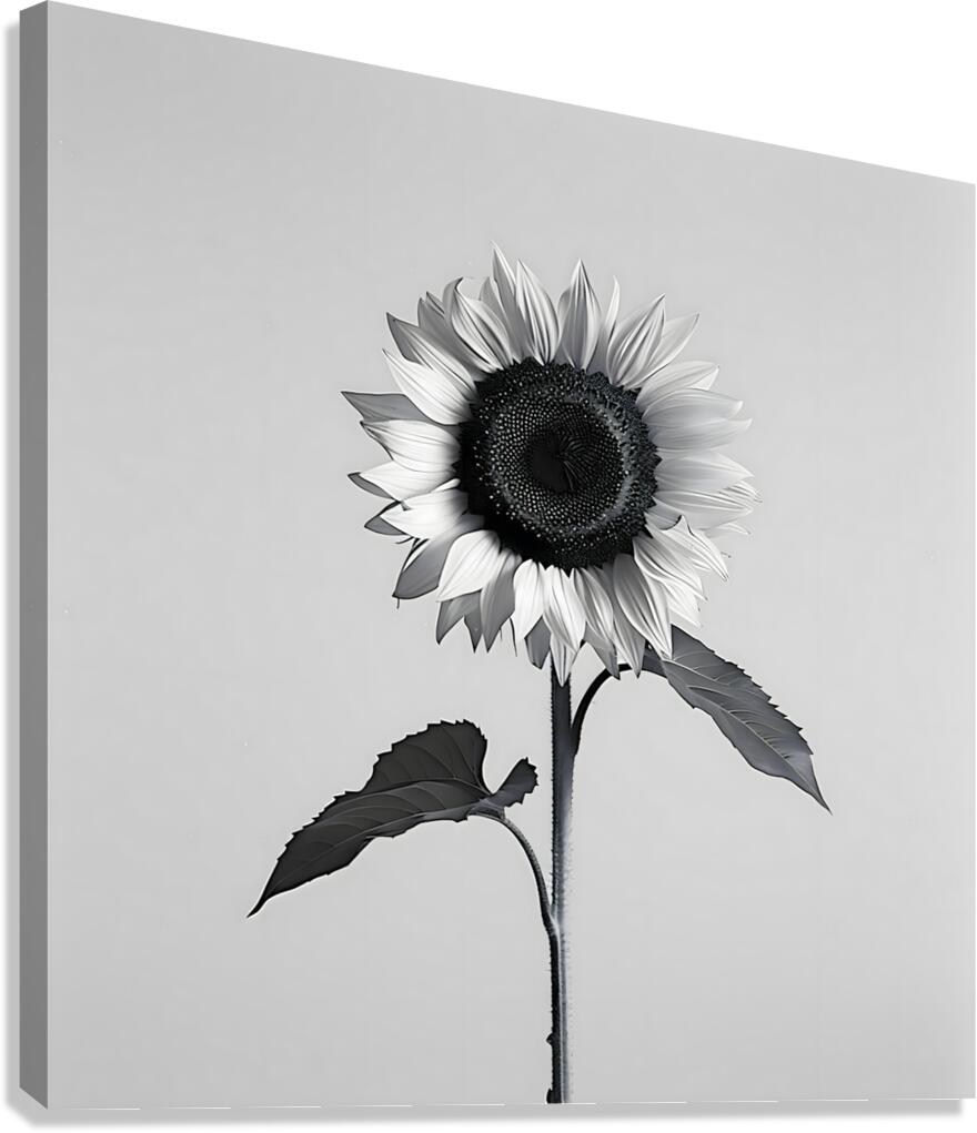 Sunflower Selfie 3 - Sunflower Portrait Art Prints Canvas Print