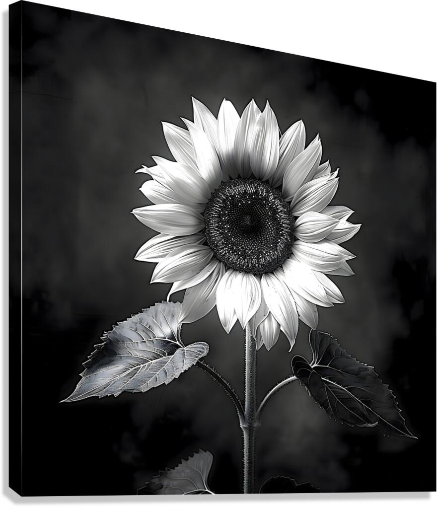 Sunflower Selfie 1 - Sunflower Portrait Art Prints Canvas Print