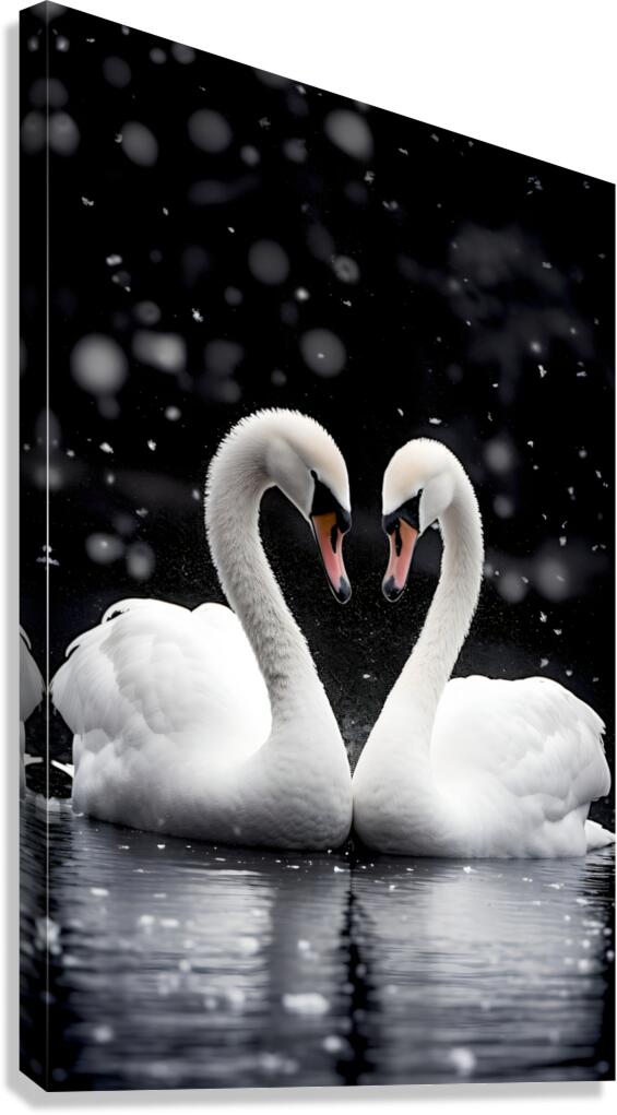 True Love - Swan Romance Art Prints Canvas Print