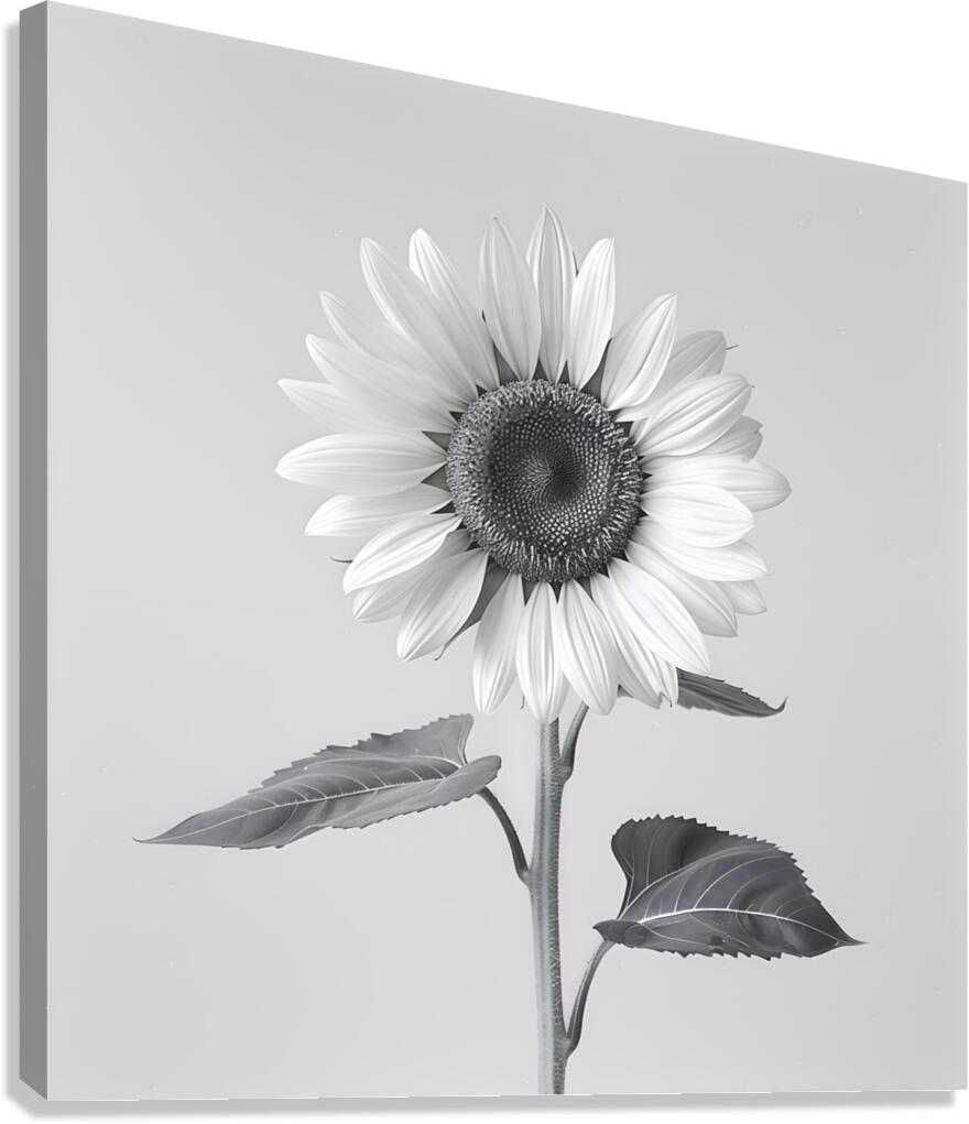 Sunflower Selfie 7 - Sunflower Portrait Art Prints Canvas Print