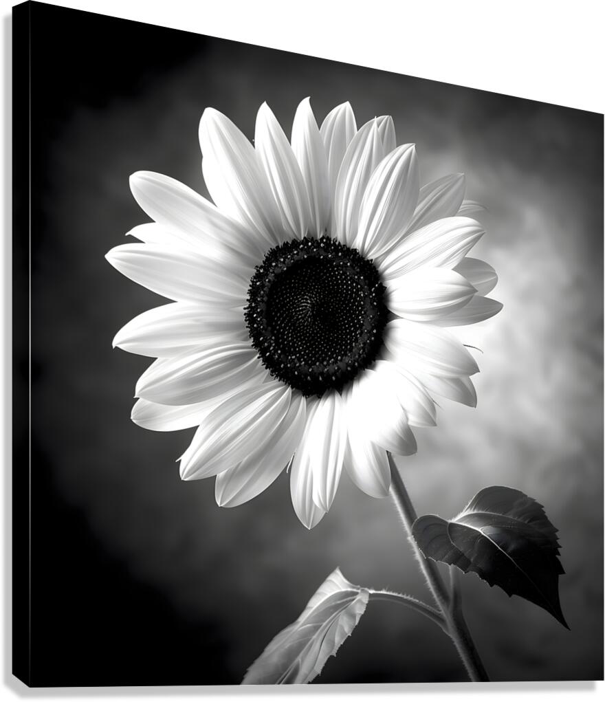 Sunflower Selfie 11 - Sunflower Portrait Art Prints Canvas Print
