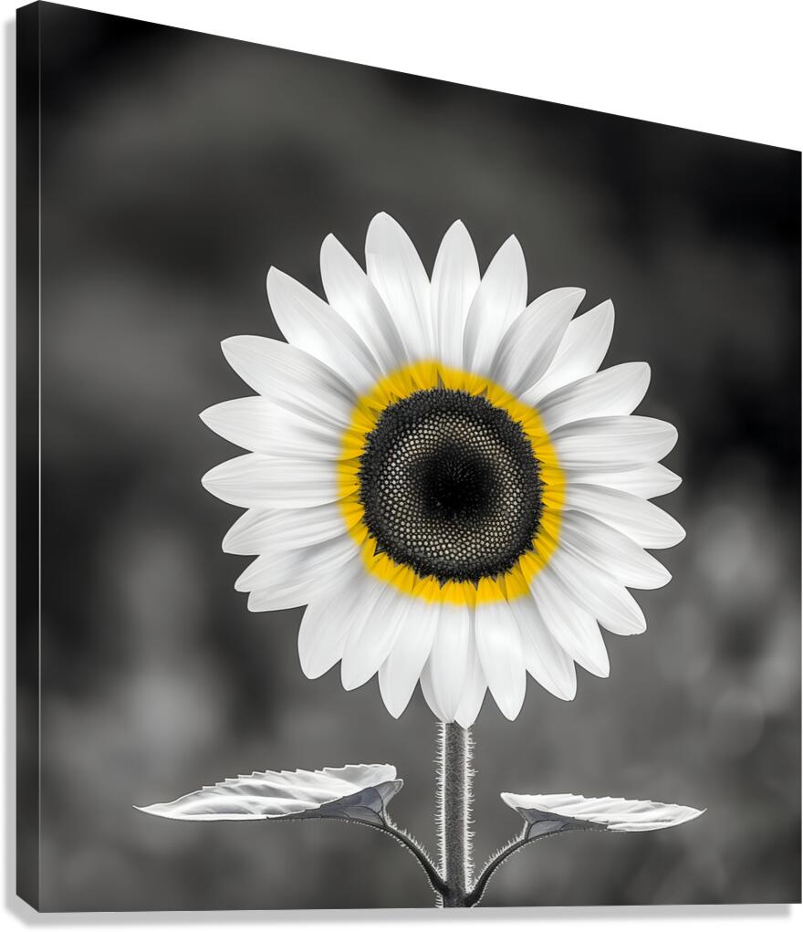 Sunflower Selfie 12 - Sunflower Portrait Art Prints Canvas Print