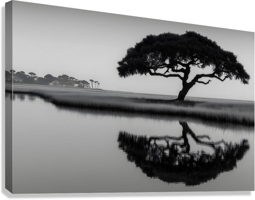 Solitude - Monochrome Landscape Art Prints Canvas Print