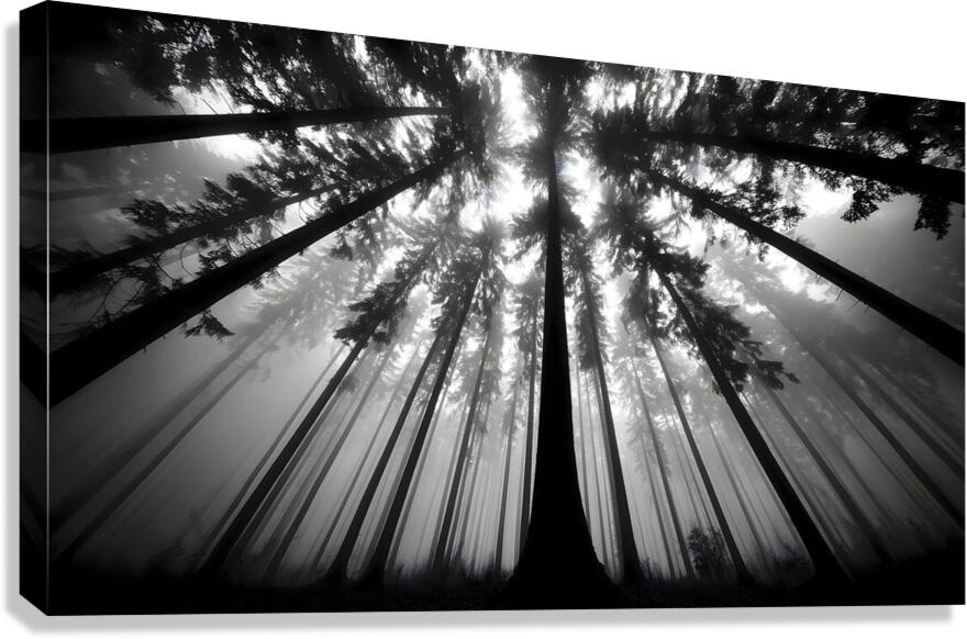 The Vertical Silence – Black & White Landscape Art Print Canvas Print