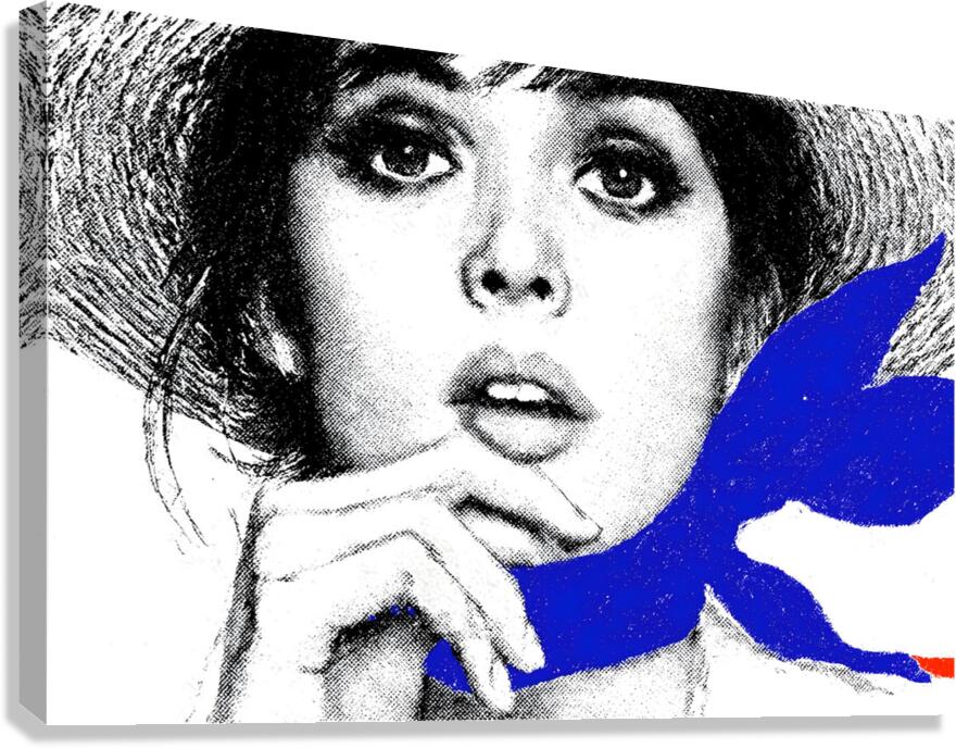 Pop Silence – Pop Art Portrait Art Print Canvas Print