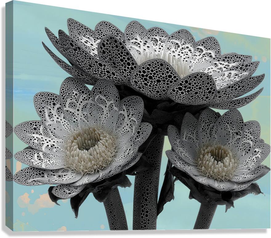 Lace Petal Trio – Modern Lotus Bloom Art Print Canvas Print