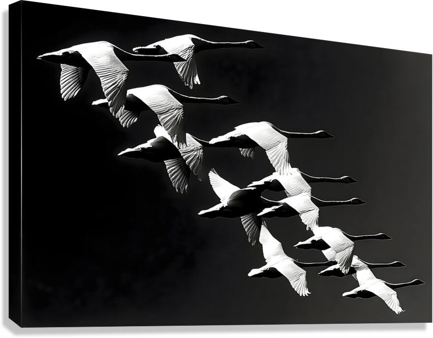 Flight Code – Geese Formation Print Canvas Print