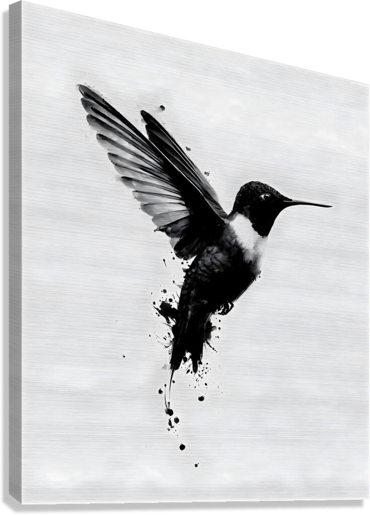 Inkflight – Monochrome Hummingbird Print Canvas Print