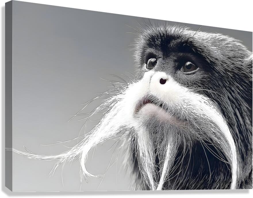Emperor’s Gaze – Emperor Tamarin Monkey Portrait Print Canvas Print