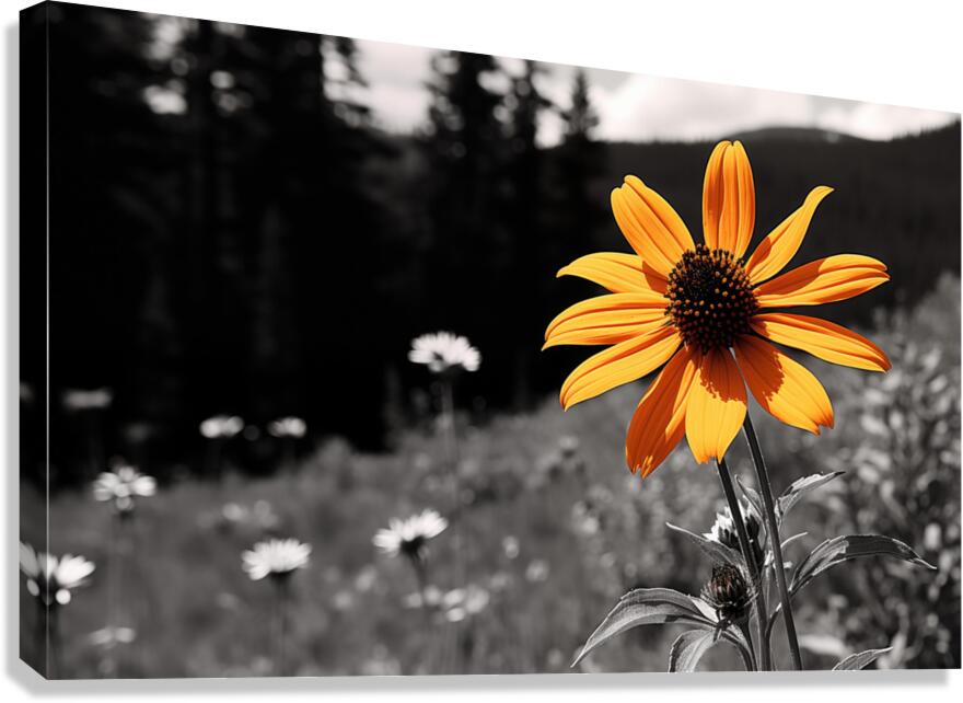 Wild Solitude – Orange Flower in Mountain Meadow Print Canvas Print