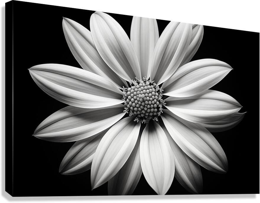 Echo in Silence – Monochrome Bloom Print Canvas Print