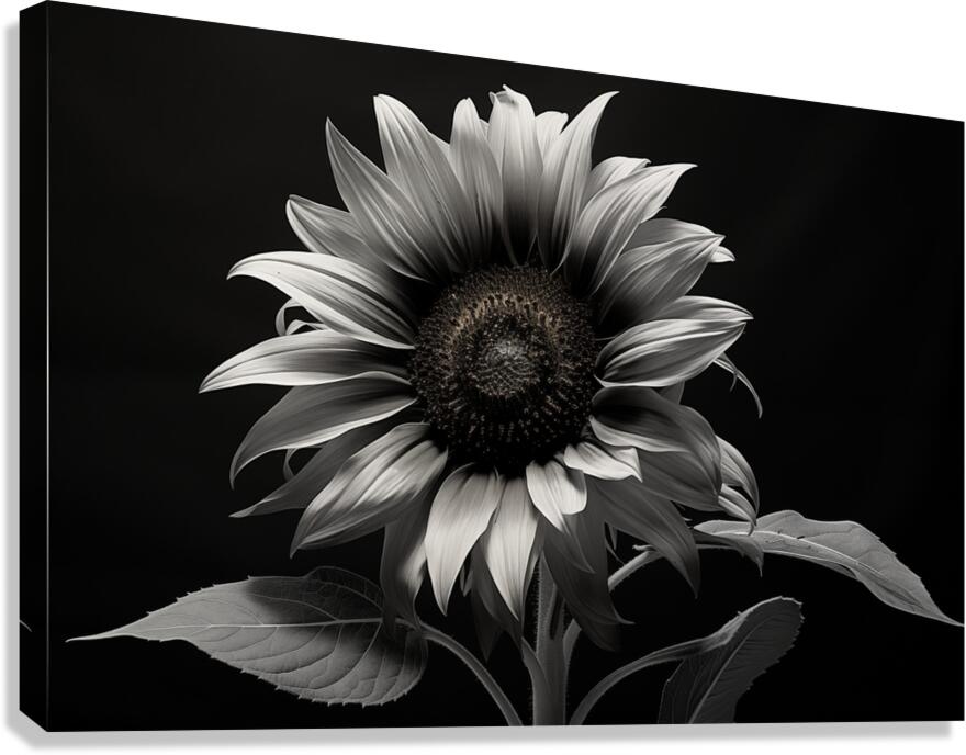 Obsidian Petals – Dark Botanical Fine Art Print Canvas Print