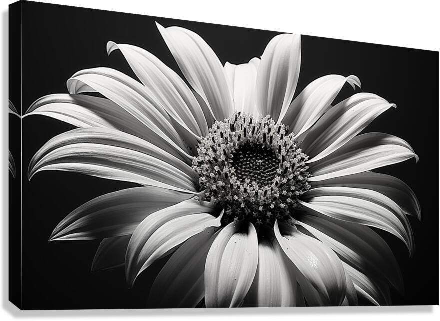 Shadow Bloom – Black and White Sunflower Portrait Print Canvas Print