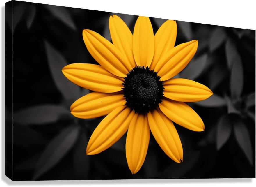 Lone Glow – Yellow Sunflower on Black Print Canvas Print