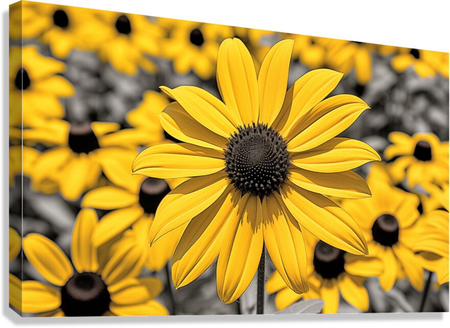 Radiant Reverie – Yellow Blossom Panorama Print Canvas Print