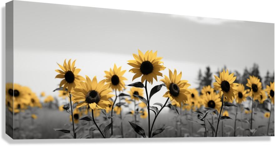 Blue Horizon Bloom – Sunflowers by the Sea Print Canvas Print
