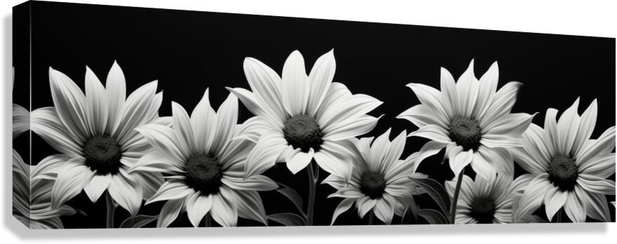 Eternal Bloom – Monochrome Sunflower Field Print Canvas Print