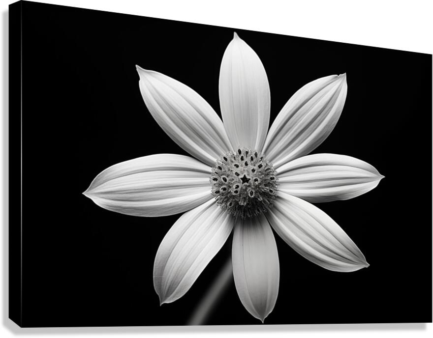 Obsidian Bloom II – Minimal Floral Print Canvas Print