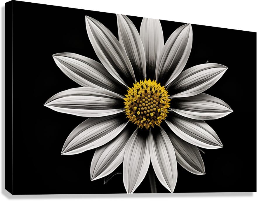 Resplendent – Luminous Daisy Monochrome Art Print Canvas Print