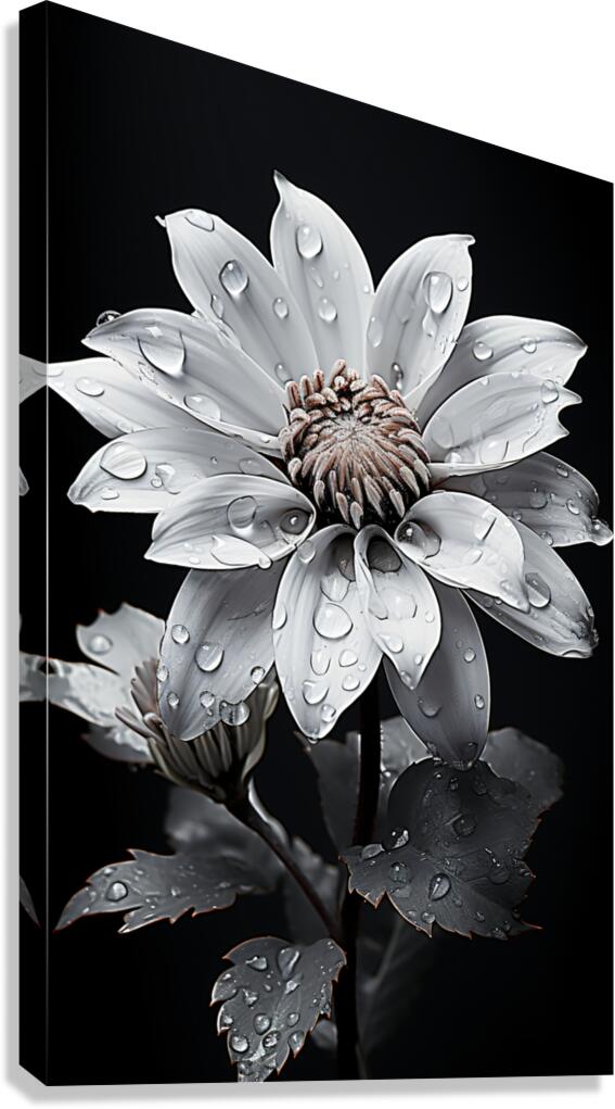 Petal Portrait – Reflective Floral Art Print Canvas Print