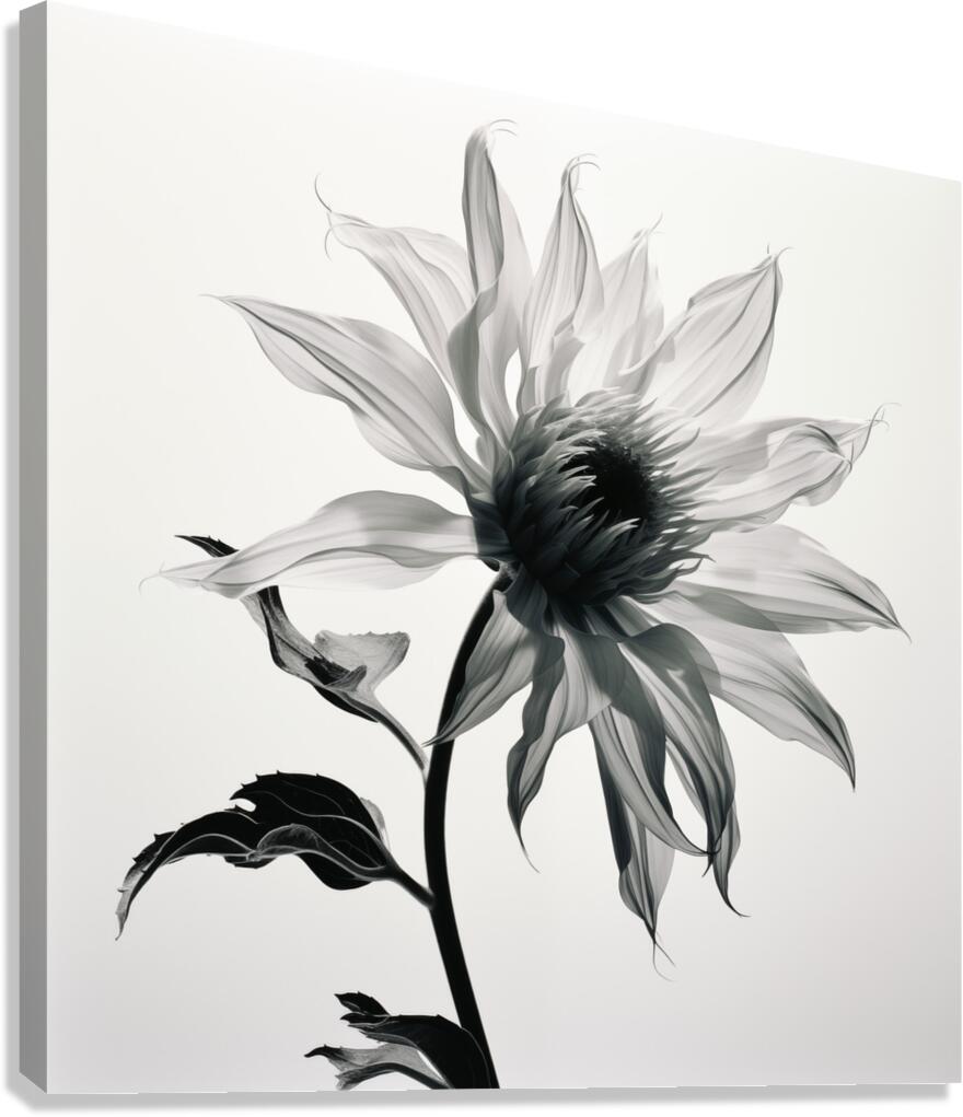SFWarp – Abstract Floral Art Print Canvas Print